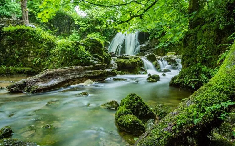 高效信息化高端
